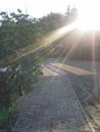 Graag dit voorjaar de tuin en het terras opknappen?