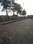Voordelig de tuin (her)inrichten?